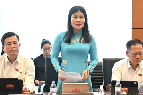 Đại biểu Quốc hội góp ý hoàn thiện Luật Phát triển doanh nghiệp nhỏ và vừa