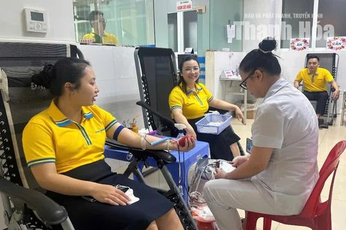 Cán bộ, nhân viên Ngân hàng Nam Á tham gia hiến máu tình nguyện