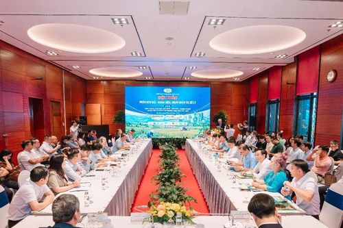 Phân bón giả ngày càng tinh vi, cần phối hợp làm sạch thị trường