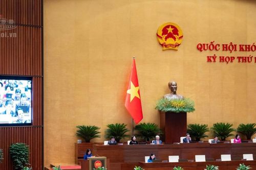 Cử tri kiến nghị tháo gỡ vướng mắc về đất đai, thủ tục hành chính và sử dụng hiệu quả trụ sở dôi dư