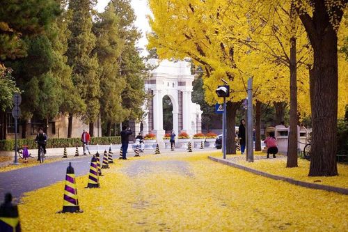 Trầm tích văn hóa giữa mùa thu Bắc Kinh