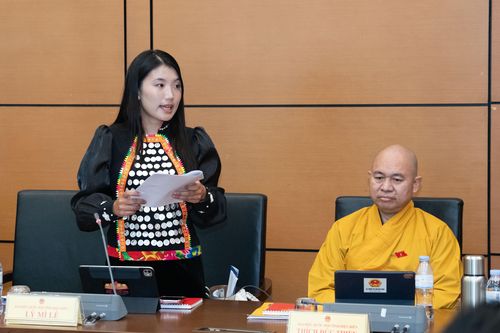 ĐBQH tỉnh góp ý hoàn thiện pháp luật về bưu chính