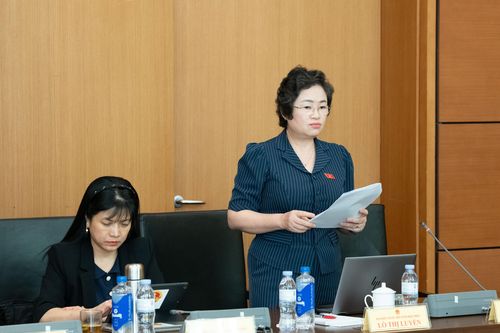 ĐBQH tỉnh tham gia ý kiến dự thảo Luật Phát triển doanh nghiệp nhỏ và vừa
