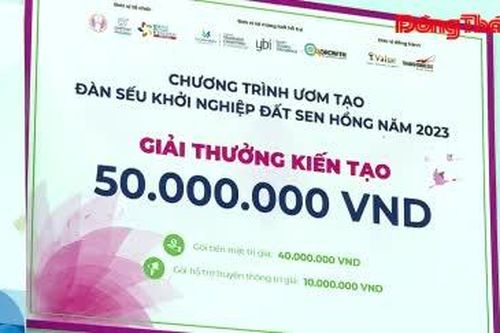 Đồng Tháp: Kết quả hành trình ươm tạo đàn sếu khởi nghiệp