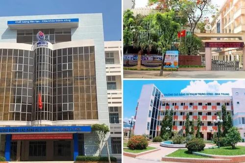 Bộ GD&ĐT không còn quản lý các trường cao đẳng, trung cấp từ năm 2027