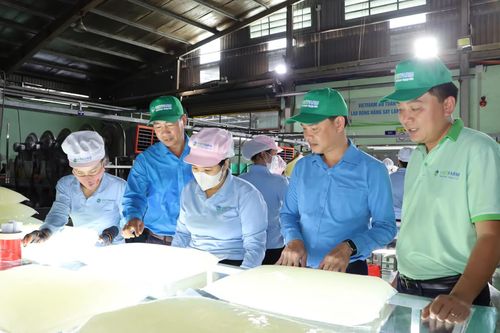 Tăng cường đối thoại để chăm lo, bảo vệ lao động nữ