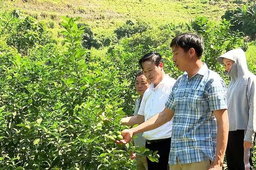 Nghĩa Tâm đánh thức tiềm năng từ những triền đồi