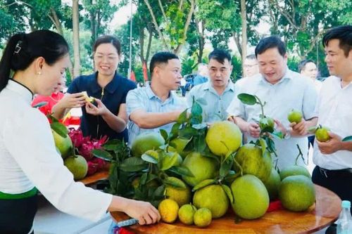 Sôi nổi không gian “Hoa trái bốn mùa - Trải nghiệm và kết nối” tại Công viên Mường Lò