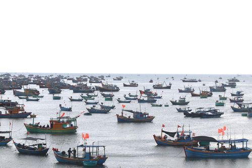 Bến cá Du lịch - Làng chài Mũi Né: Giữ bản sắc, nâng tầm điểm đến