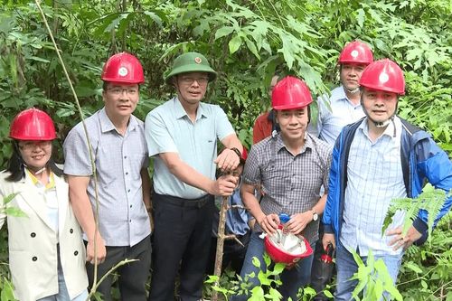 Phó Chủ tịch UBND tỉnh Đinh Văn Tuấn khảo sát hệ thống Hang động núi lửa Krông Nô
