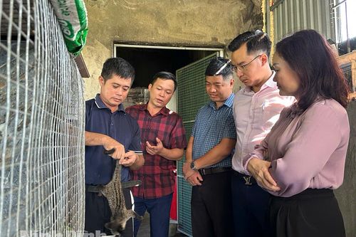 Hiệu quả dòng vốn tín dụng ưu đãi ở Định Hoá
