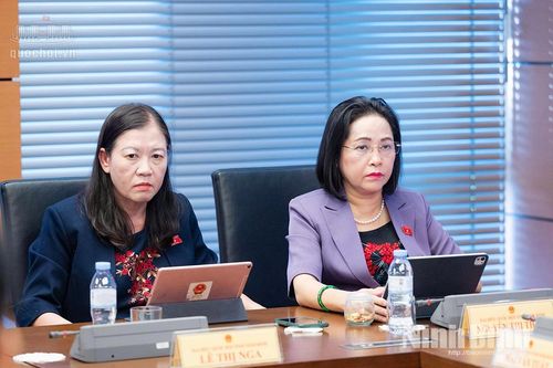 Kỳ họp thứ hai, Quốc hội khóa XVI: Đoàn ĐBQH tỉnh Ninh Bình góp ý các dự án luật