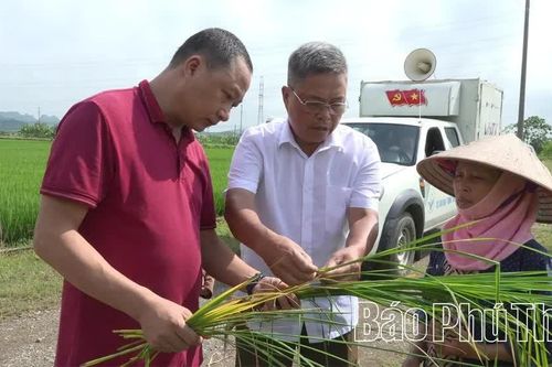 Yên Thủy lấy thi đua yêu nước làm động lực phát triển