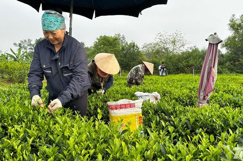 Tân Cương nhân rộng những xóm không còn hộ nghèo