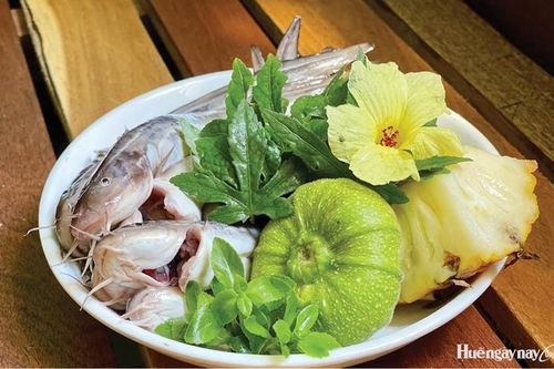 Mùa cá ngát về bờ