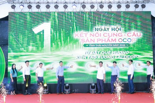 Thái Nguyên thúc đẩy kết nối cung - cầu, mở rộng thị trường tiêu thụ sản phẩm OCOP