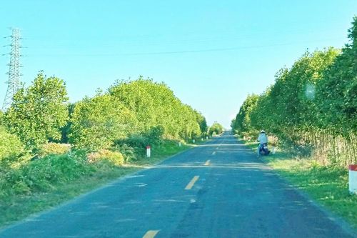 Cà Mau đầu tư gần 150 tỷ đồng mở rộng đường đến trung tâm xã Phan Ngọc Hiển