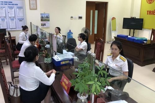 Thuế tỉnh Điện Biên thu ngân sách 9 tháng tăng hơn 24% so với cùng kỳ