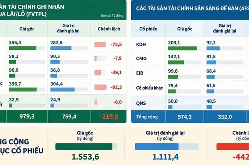 Những cổ phiếu khiến danh mục tự doanh của VDSC tạm lỗ hơn 440 tỷ đồng