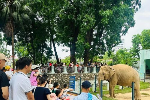 Mong muốn chờ sự 'lột xác' của Công viên Thủ Lệ