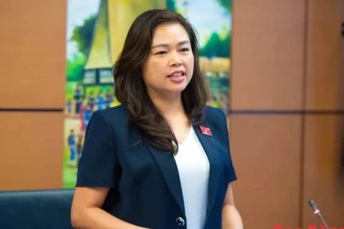 Đại biểu Quốc hội tỉnh góp ý hoàn thiện chính sách phát triển doanh nghiệp nhỏ và vừa