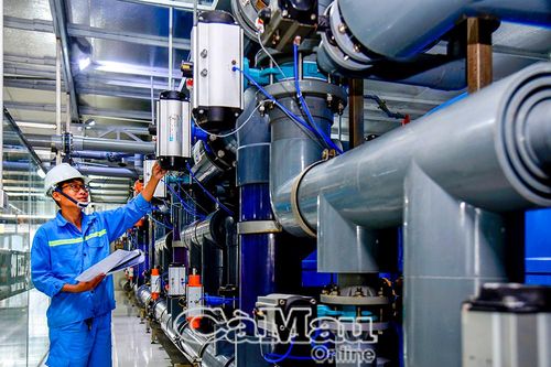 Cà Mau nâng cao chất lượng thu hút vốn FDI