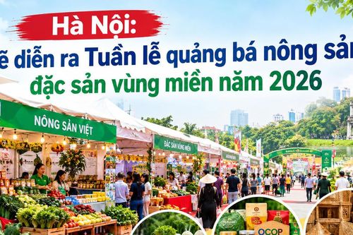 Sắp diễn ra Tuần lễ quảng bá nông sản, đặc sản vùng miền năm 2026 tại Hà Nội