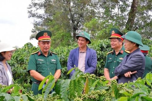 Phát triển kinh tế tuần hoàn hướng tới sản xuất cà phê hữu cơ bền vững
