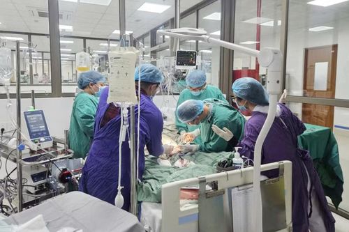 Hơn 2 tháng cứu người đàn ông ngừng tim trên xe cấp cứu