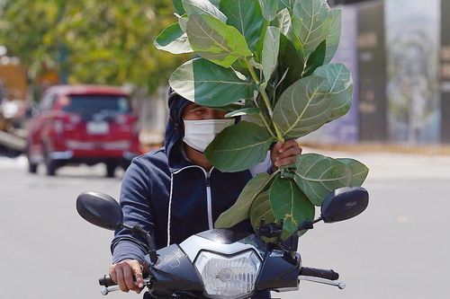 TP.HCM có thể tăng 110 ngày nắng nóng, quy hoạch đô thị cần tính trước rủi ro