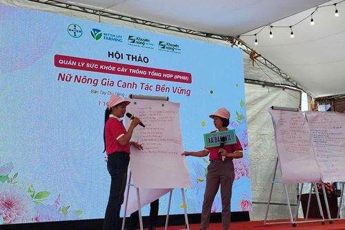 Nữ nông dân Tây Nguyên nâng cao năng lực canh tác bền vững