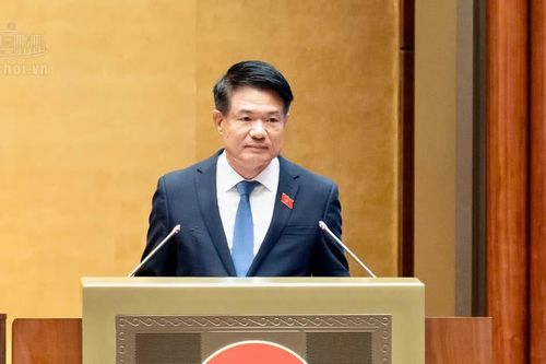 Bị can, bị cáo tự nguyện nhận tội, chấp nhận hình phạt có thể được áp dụng thủ tục rút gọn