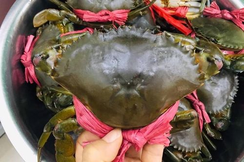 Triển vọng thị trường thủy sản: Cơ hội và dư địa cho tăng trưởng xuất khẩu hai con số