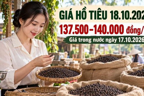 Giá hồ tiêu hôm nay 18.10.2026: Trong nước giữ giá, quốc tế phân hóa