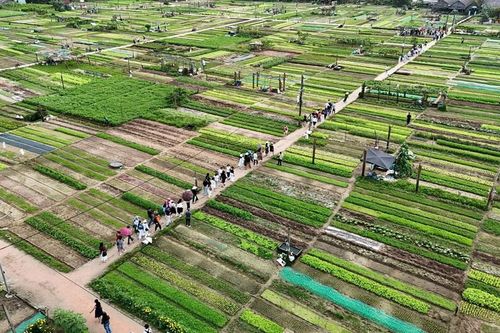 Đà Nẵng:Xây dựng thôn nông thôn mới gắn với văn hóa, môi trường và chuyển đổi số