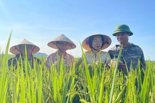 Canh tác lúa giảm phát thải ở Thanh Hóa