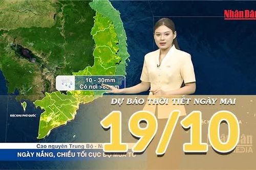 [Video] Dự báo thời tiết đêm nay và ngày mai 19/10/2026: Mưa lớn gia tăng tại Nam Bộ, Bắc Bộ và Trung Bộ rải rác có mưa vài nơi
