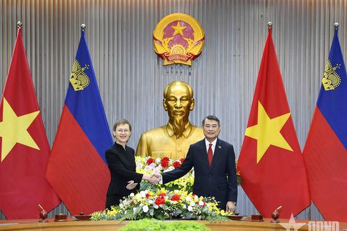 Thủ tướng Lê Minh Hưng hội đàm với Thủ tướng Liechtenstein