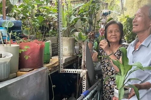 Chuyện tình già của một thương binh
