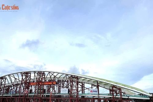 Hải trình đưa 'lá dừa nước' khổng lồ vượt 124 km về trung tâm TP HCM