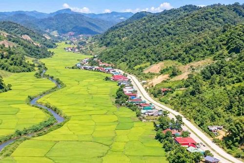 Tết Khẩu Hó ở Mường Nhà: Hạt lúa ấm tình người, tình đất