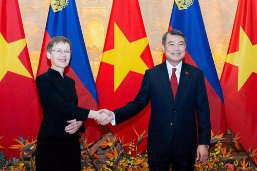 Thủ tướng Chính phủ Lê Minh Hưng chủ trì lễ đón chính thức Thủ tướng Liechtenstein Brigitte Haas