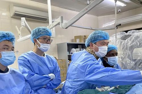 Giáo sư Việt Nam đảm nhiệm cương vị Chủ tịch Liên đoàn Tim mạch Đông Nam Á