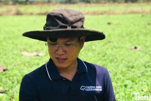 Cử nhân luật về quê nuôi ốc từ ao hoang, tạo sinh kế cho thanh niên