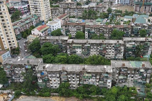 Chung cư gần 50 năm tuổi ở Nghệ An trơ cốt thép, rễ cây bám kín tường