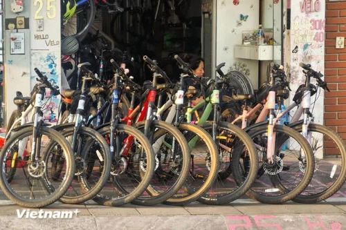 Phong trào đạp xe quanh Hồ Tây thu hút giới trẻ trước giờ làm việc