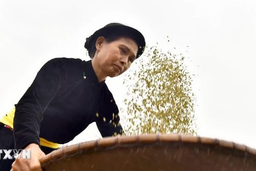 Lễ hội cốm Hợp Thành: Từ hạt cốm dẻo thơm đến nghi lễ ngàn đời