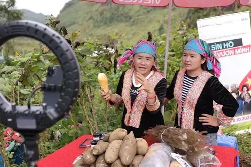 Làng nghề lên sàn số - Bài 1: Từ bán buôn đến vạn đơn qua livestream