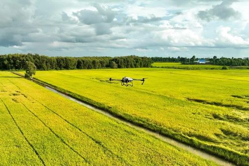 Phát triển kinh tế tầm thấp - Bài 3: Cơ chế 'luồng xanh' xử lý sự cố môi trường