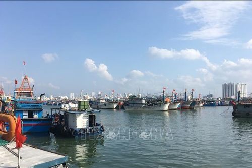 Dừng thu phí qua hai trạm Bến Thủy do chưa khắc phục hư hỏng kéo dài